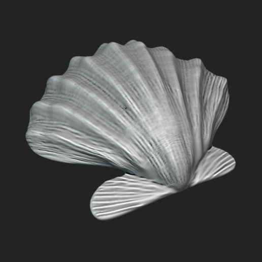 🐾 Giant Lion’s Paw Shell - 3D Printable Seashell Model・ 3D File for 3D ...