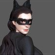 13.jpg CATWOMAN SELINA KYLE BATMAN DARK NIGHT RISES DC SEXY GIRL WOMAN CHARACTER