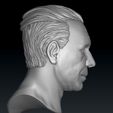 n_3.jpg Till Lindemann Smile and Screaming Face Head model for 3D printing