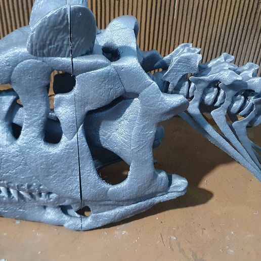 20241114_202250.jpg Череп карнотавра 30 см 3d печать 3d модель