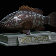 Dusky-grouper.png fish dusky grouper / Epinephelus marginatus statue detailed texture for 3d printing