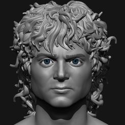 19.jpg OBJ-Datei Frodo Baggins- Der Herr der Ringe 3D-Druck Modell-Elijah Wood・3D-Drucker-Vorlage zum herunterladen