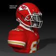 BPR_Composite11a.jpg NFL Football Helmet Stand