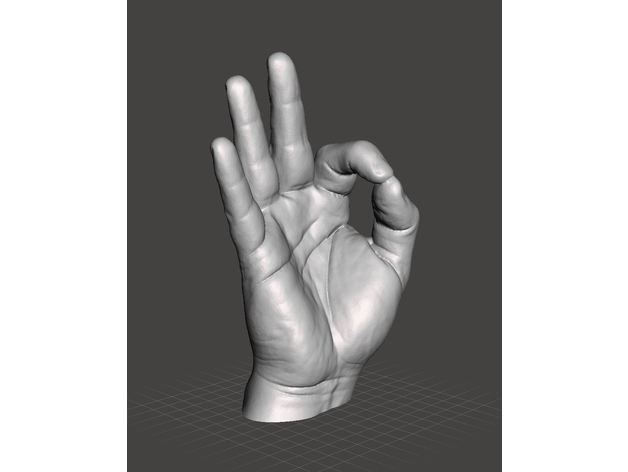 fd4c8e59b8a7add298869bd9fef2417c_preview_featured.JPG Download free STL file Right Hand Model • 3D printable object, filamentone