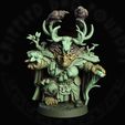 Blirta,-Half-troll-Druid_42-b25.jpg Blirta, Half-troll Druid