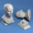 Cam_004_square.jpg Face Plane Anatomy Firgure