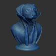 Shop1.jpg Rhodesian Ridgeback -with collar cape on pedestal