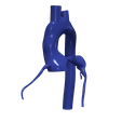 2.png 3D Model of Aorta and Coronary Arteries - 6pack