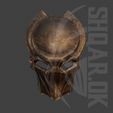 f4.jpg Predator Falconer mask