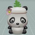 5.jpeg Little panda