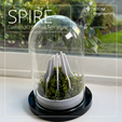 6.png SPIRE Terrarium