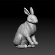 r1.jpg rabbit - realistic rabbit - decorative rabbit -rabbit toy