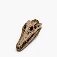 WhatsApp-Image-2026-06-12-at-13.16.30-6.jpeg 10 Skull STL Bundle | 3D Printable Skull Collection | Dragon, Human, Beast & Horned Skull Models | Instant Download