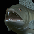 zander-statue-4-mouth-open-25.png fish zander / pikeperch / Sander lucioperca open mouth statue detailed texture for 3d printing