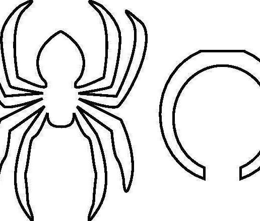 spider_ring_display_large.jpg Spider Plus Ring