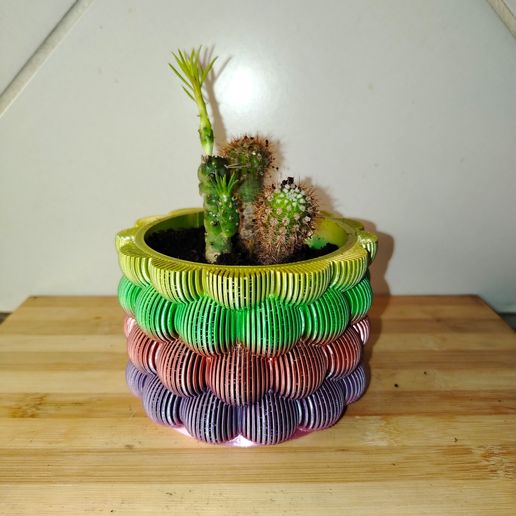 IMG_20251228_082908.jpg Jardinera Bubble Pop