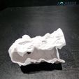 3D-printed-aquarium-cave-fish-hideout-pleco-cave-shrimp-shelter-fish-breeding-cave-betta-hideout-rep.jpg Aquarium & Terrarium Vortex Cave | Pet Hide | Terrarium Decoration | Aquarium, Terrarium, Vivarium Safe | DIY 3D Printable File