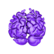 brain A.stl Trippy Brain