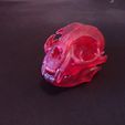 1614110082828.jpg " Skull pack x4 (Pitbull-Mammoth-Chat-Owl) " : 3D file for sale