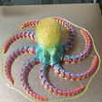 Octopus 2.0