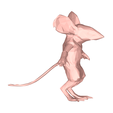 model-1.png Rat low poly