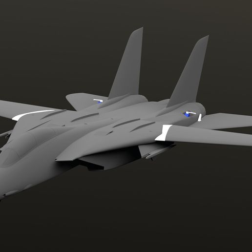 F-14-Full.jpg F-14 RC Aircraft (Twin 50mm Fan, 1050mm span)
