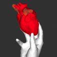 5A73C491-B2D1-4086-BD05-9A5A591B9AAD.jpeg Artwork Corazón sostenida con una mano / Artwork of a Heart Held in a Hand