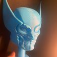 printed-wolf1-1.jpg Wolverine skull bust