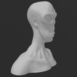 Screenshot-2023-03-12-160116.png Alien Head Bust