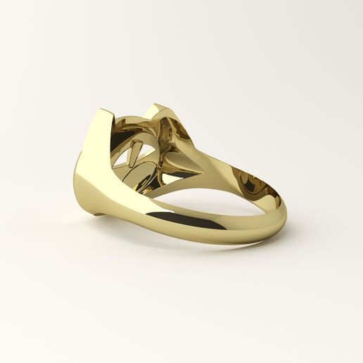 cat-ring-5.jpg Cat ring
