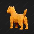 3083-Cairn_Terrier_Pose_02.jpg Cairn Terrier Dog 3D Print Model Pose 02