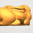 TDA0318 Rabbit A03.png Rabbit