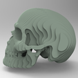 C2.png Skull slice