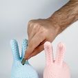 IMG_3704.jpg Troy Rabbit Knitted 🐰✨ (Container + Piggy Bank Version), Easter Design