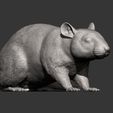 rat12.jpg Rat 3D print model