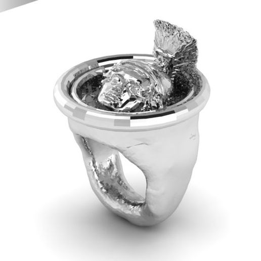 Ring Alex 3D model