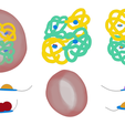 Hemoglobin_Color.png The Structure of Hemoglobin