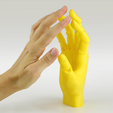 Capture_d_e_cran_2016-02-03_a__09.53.26.png Descargar archivo STL gratis Mano articulado・Modelo para la impresora 3D