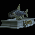Gudgeon-statue-5.png fish gudgeon / gobio gobio statue detailed texture for 3d printing