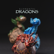 feed.png Elemental Dragons