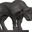 Buffalo-31.jpg Buffalo