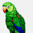 bird.png Parrot Transfigured Figure