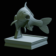 Carp-trophy-statue-26.png fish carp / Cyprinus carpio in motion trophy statue detailed texture for 3d printing