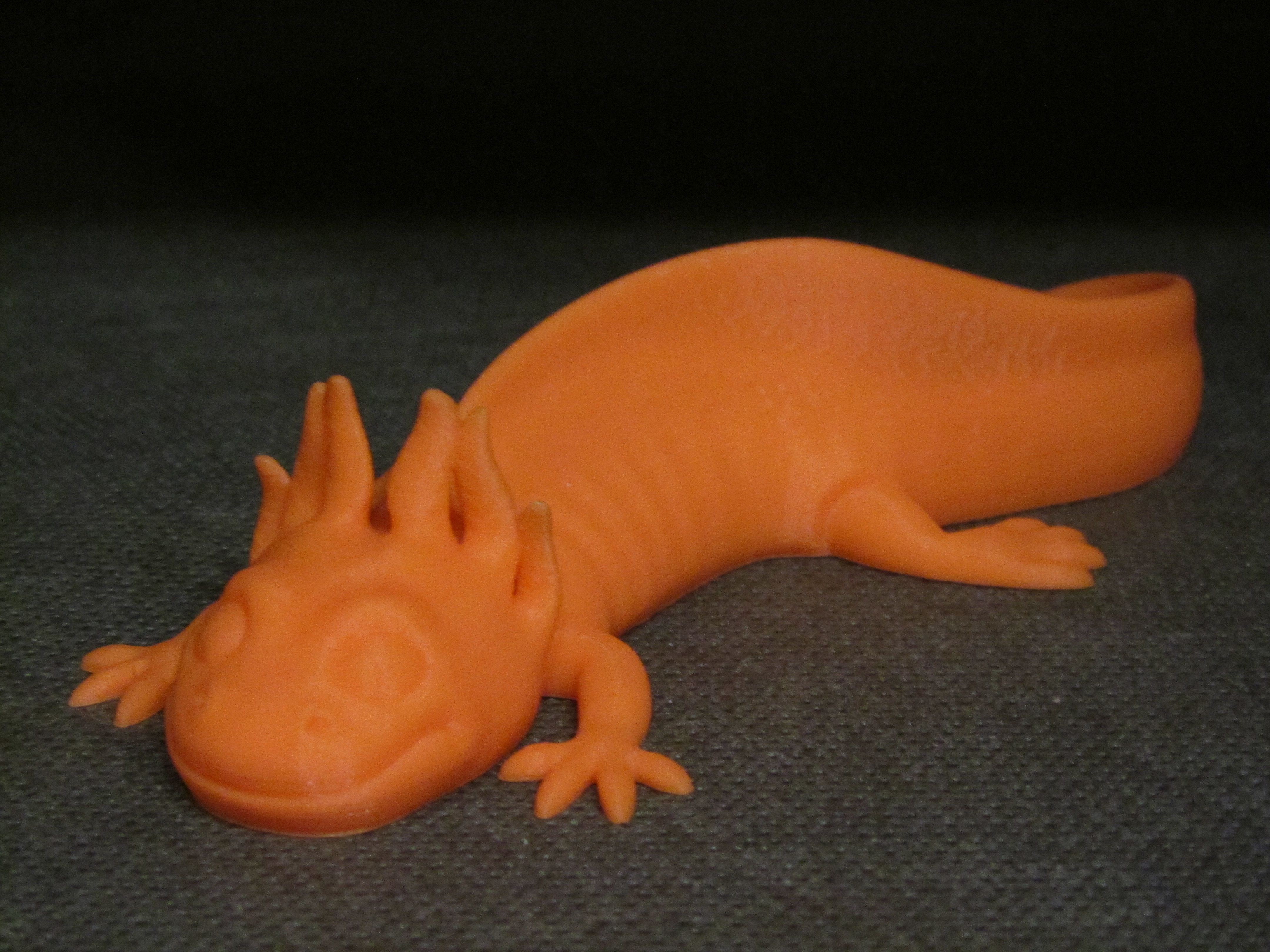 Axolotl 2.JPG Fichier STL Axolotl (Impression facile sans support)・Plan pour impression 3D à télécharger, Alsamen