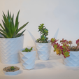 Capture d’écran 2018-04-09 à 18.05.11.png Free STL file Parametric Flower Pots・Design to download and 3D print, cirion
