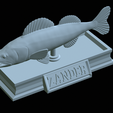 zander-statue-4-open-mouth-1-43.png fish zander / pikeperch / Sander lucioperca  open mouth statue detailed texture for 3d printing