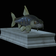 Gudgeon-statue-8.png fish gudgeon / gobio gobio statue detailed texture for 3d printing