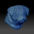 Shop9.jpg English Bulldog Pug Dog Head Portrait