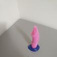 20220312_092854.jpg Dildo Dragon con base a coste