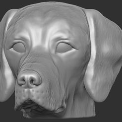 1.jpg STL-Datei Vorstehhundkopf für den 3D-Druck・3D-druckbare Vorlage zum herunterladen